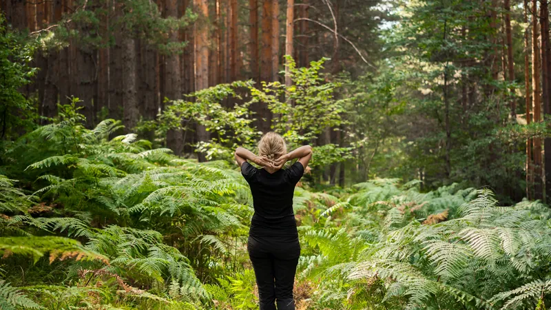 Woman walking along a forest path between tall ferns