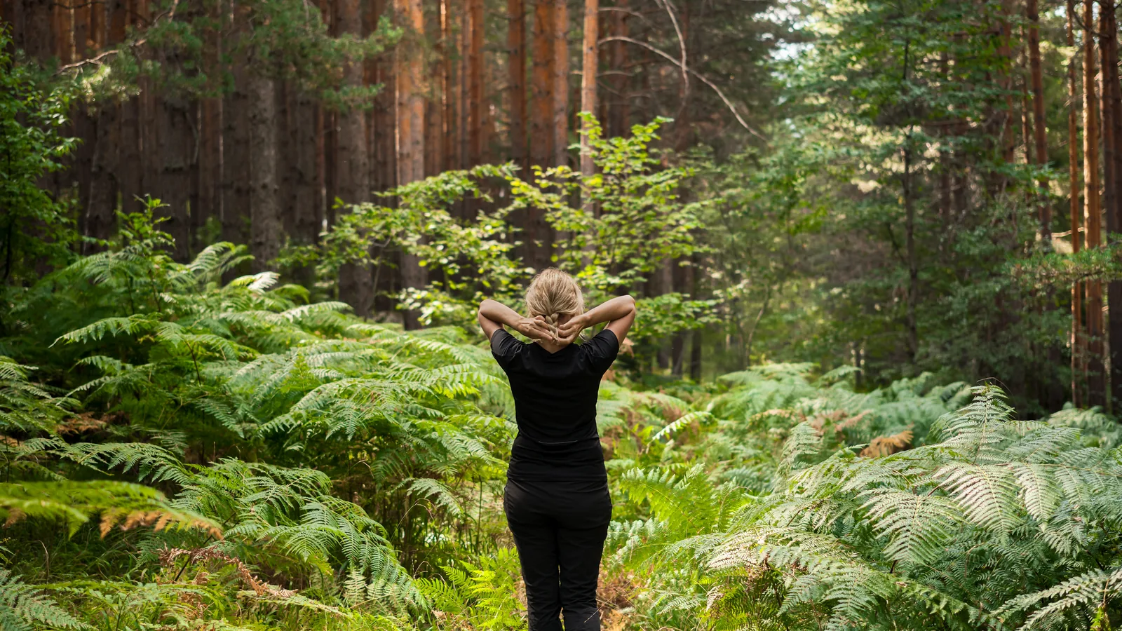 Woman walking through ferns on a forest path