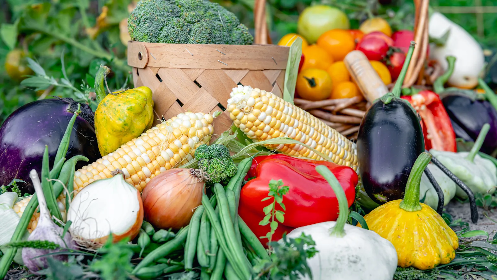 Fresh vegetables arranged on a table in front of a garden