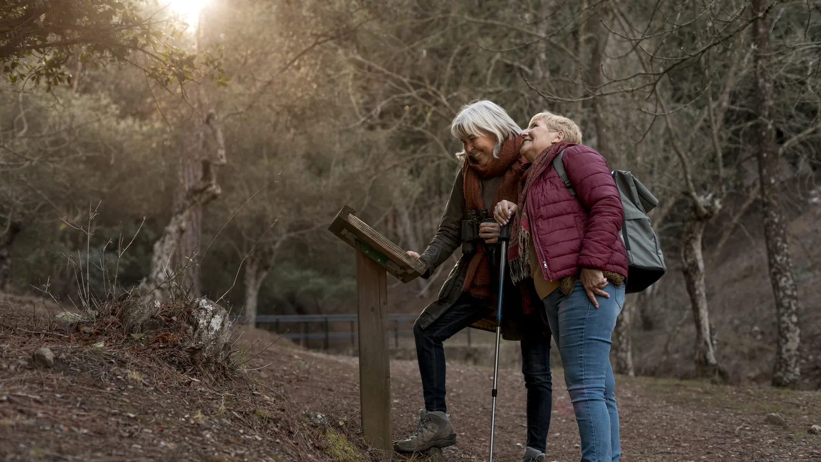Two older women hiking together on a woodland path