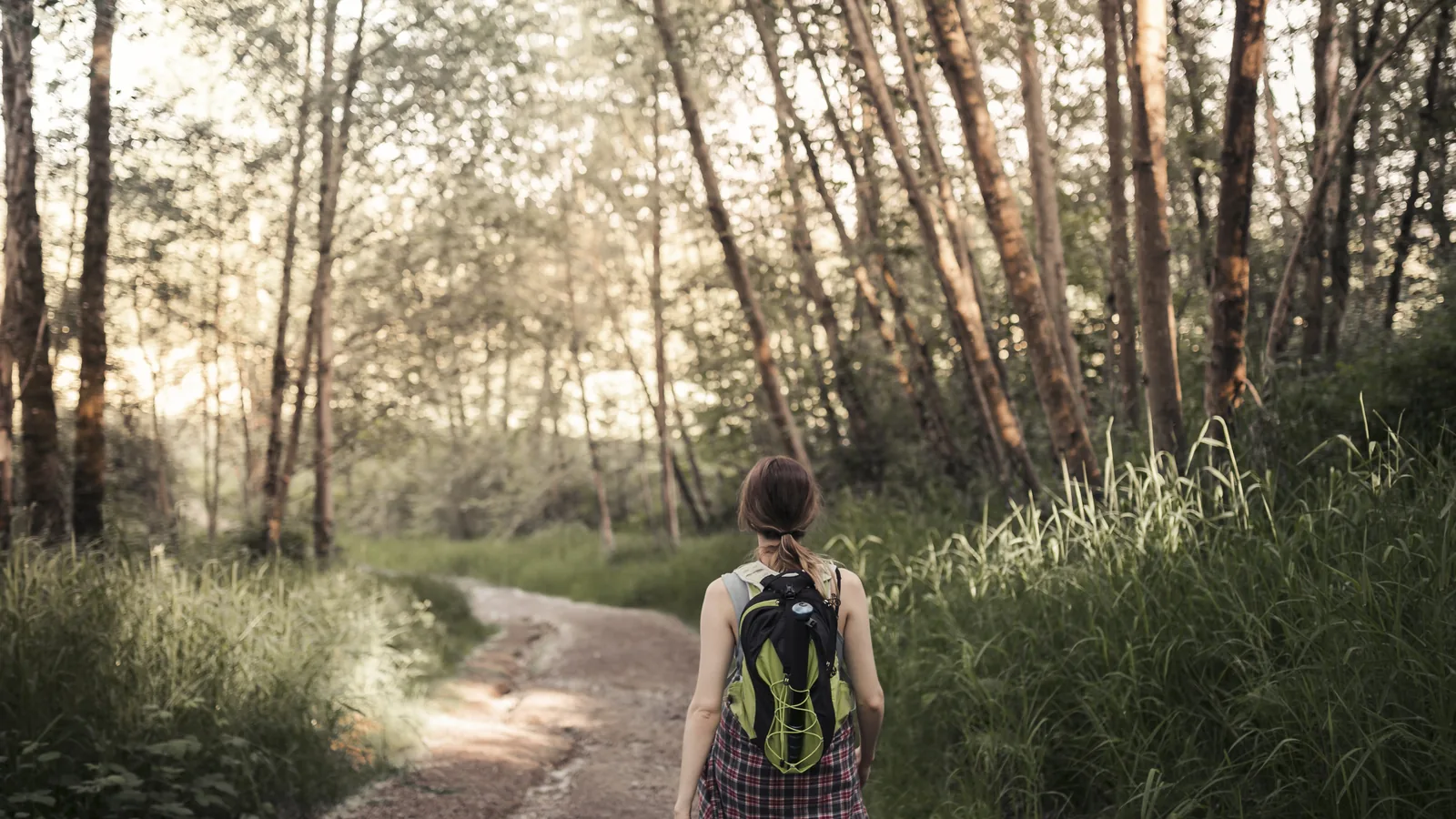 Woman walking along a sunlit forest road